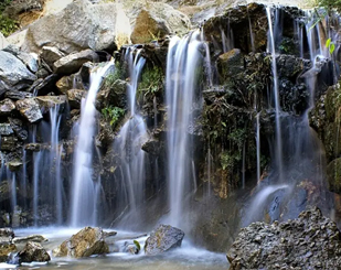 Gangtok Pelling Tour 5 Days