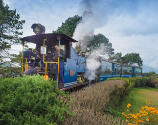 Darjeeling 3 Night/ 4 Days Tour package 
