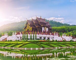 Captivating Bangkok Pattaya Special