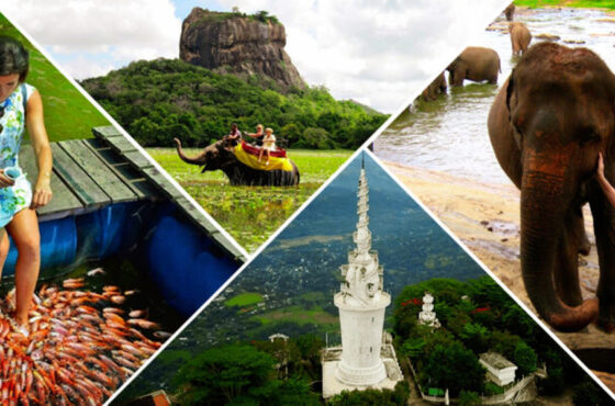 Discover Sri Lanka Tour