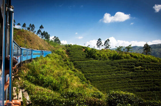 Sri Lanka Highlights